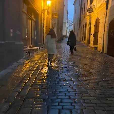 Apartament Unesco 14 Century