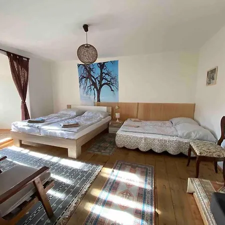 Unesco 14 Century Apartment